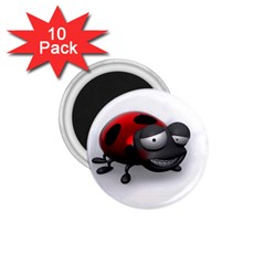 Lady Bird 1 75  Button Magnet (10 Pack) by cutepetshop