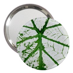 Leaf Patterns 3  Handbag Mirror