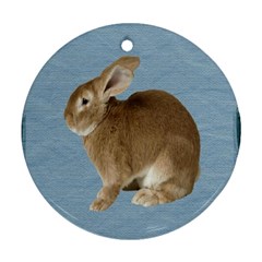 Cute Bunny Round Ornament (two Sides) by mysticalimages