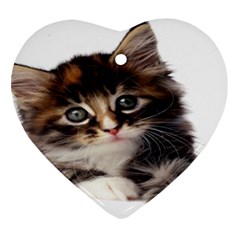 Curious Kitty Heart Ornament by mysticalimages