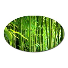 Bamboo Magnet (oval) by Siebenhuehner