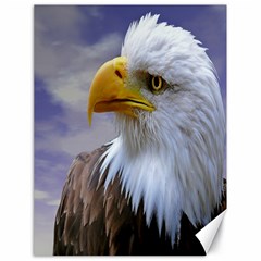 Bald Eagle Canvas 18  X 24  (unframed) by Siebenhuehner