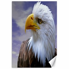 Bald Eagle Canvas 20  X 30  (unframed) by Siebenhuehner