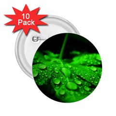 Waterdrops 2 25  Button (10 Pack) by Siebenhuehner