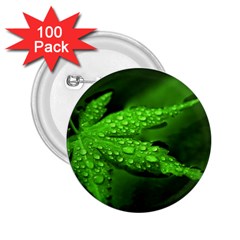 Leaf With Drops 2 25  Button (100 Pack) by Siebenhuehner