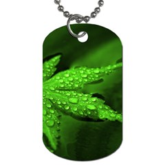 Leaf With Drops Dog Tag (one Sided) by Siebenhuehner