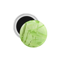 Bamboo 1 75  Button Magnet