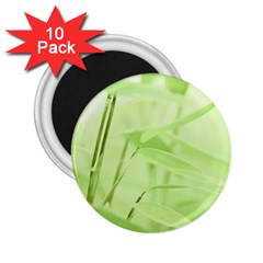 Bamboo 2 25  Button Magnet (10 Pack)