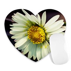 Daisy Mouse Pad (heart) by Siebenhuehner