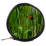 Ladybird Mini Makeup Case Back