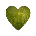 Grass Magnet (Heart) Front