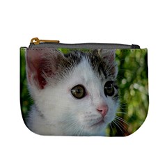 Young Cat Coin Change Purse by Siebenhuehner