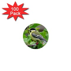 Songbird 1  Mini Button (100 Pack) by Siebenhuehner