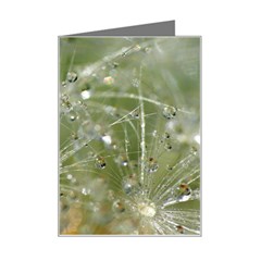 Dandelion Mini Greeting Card by Siebenhuehner