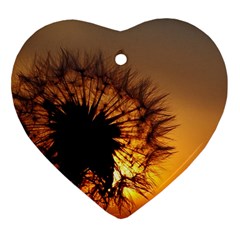 Dandelion Heart Ornament (two Sides) by Siebenhuehner