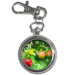 Strawberry  Key Chain & Watch by Siebenhuehner