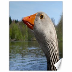 Geese Canvas 12  X 16  (unframed) by Siebenhuehner