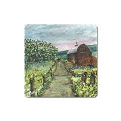  amish Apple Blossoms  By Ave Hurley Of Artrevu   Magnet (square) by ArtRave2