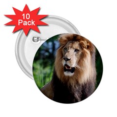 Regal Lion 2 25  Button (10 Pack)