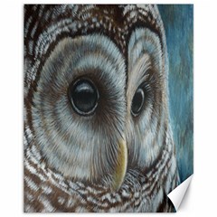 Barred Owl Canvas 11  X 14  (unframed) by TonyaButcher