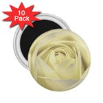  Cream Rose 2.25  Button Magnet (10 pack) Front