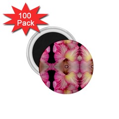 Pink Gladiolus Flowers 1 75  Button Magnet (100 Pack) by Artist4God