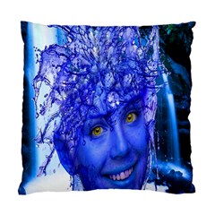 Water Nymph Cushion Case (single Sided)  by icarusismartdesigns