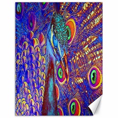 Peacock Canvas 18  X 24  (unframed) by icarusismartdesigns