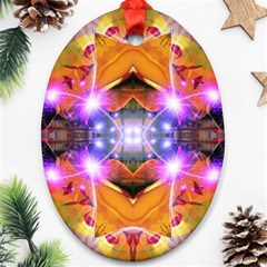 Abstract Flower Oval Ornament by icarusismartdesigns