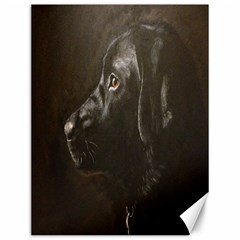 Black Lab Canvas 12  X 16  (unframed)