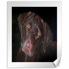 Inquisitive Chocolate Lab Canvas 16  X 20  (unframed)