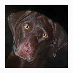 Inquisitive Chocolate Lab Glasses Cloth (medium)