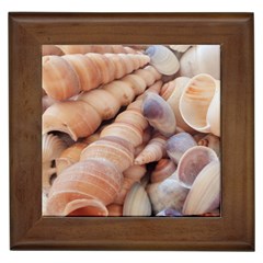 Sea Shells Framed Ceramic Tile by yoursparklingshop