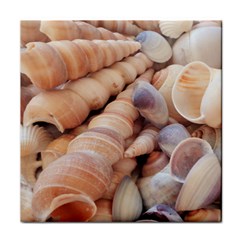 Sea Shells Face Towel by yoursparklingshop