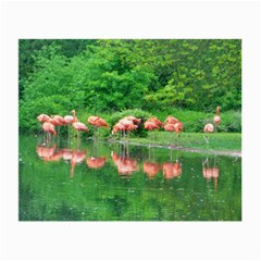 Flamingo Birds At Lake Glasses Cloth (small) by yoursparklingshop