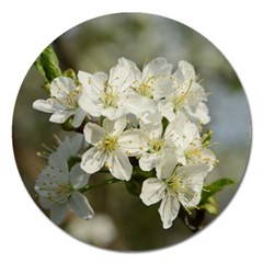 Spring Flowers Magnet 5  (round) by anstey