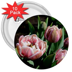 Tulips 3  Button (10 Pack) by anstey