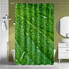 Green Leaf Drops Shower Curtain 48  X 72  (small) 