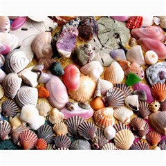 Colorful Sea Shells Collage 8  X 10 