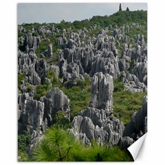 Stone Forest 1 Canvas 16  X 20  