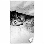 SLEEPY KITTY Canvas 40  x 72   39.28 x69.23  Canvas - 1