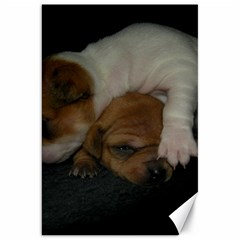 Adorable Baby Puppies Canvas 20  X 30  