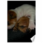 ADORABLE BABY PUPPIES Canvas 20  x 30   19.62 x28.9  Canvas - 1