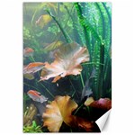 MARINE LIFE Canvas 20  x 30   19.62 x28.9  Canvas - 1