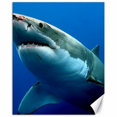 Great White Shark 3 Canvas 16  X 20  