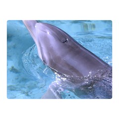 Dolphin 2 Double Sided Flano Blanket (mini) 