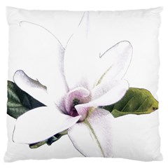 White Magnolia Pencil Drawing Art Large Flano Cushion Case (one Side)