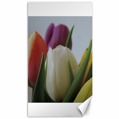 Colored By Tulips Canvas 40  X 72  