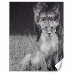 King And Queen Of The Jungle Design  Canvas 12  X 16   by FrontlineS