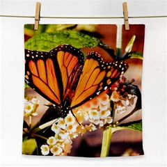 Monarch Butterfly Nature Orange Face Towel by Amaryn4rt